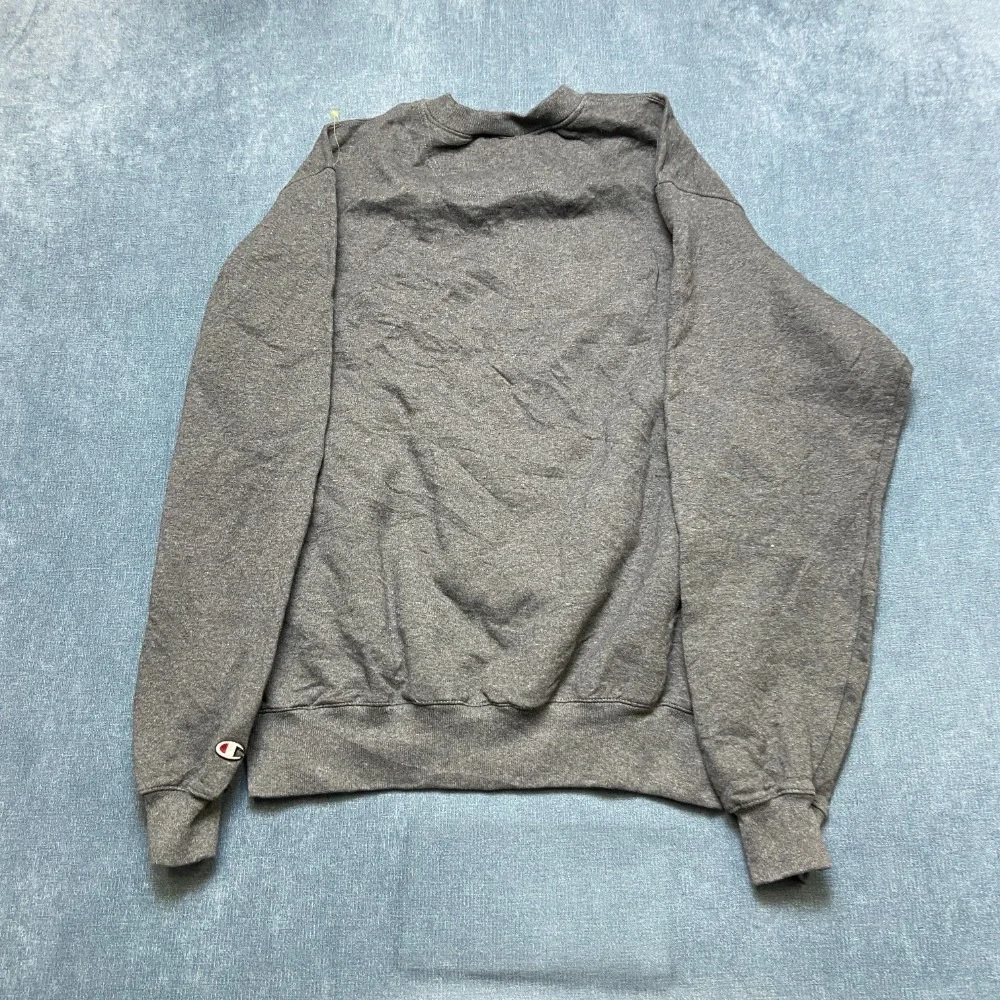 Vintage Champion Eco Authentic Sweatshirt Mens Large Gray Long Sleeve Crew Neck